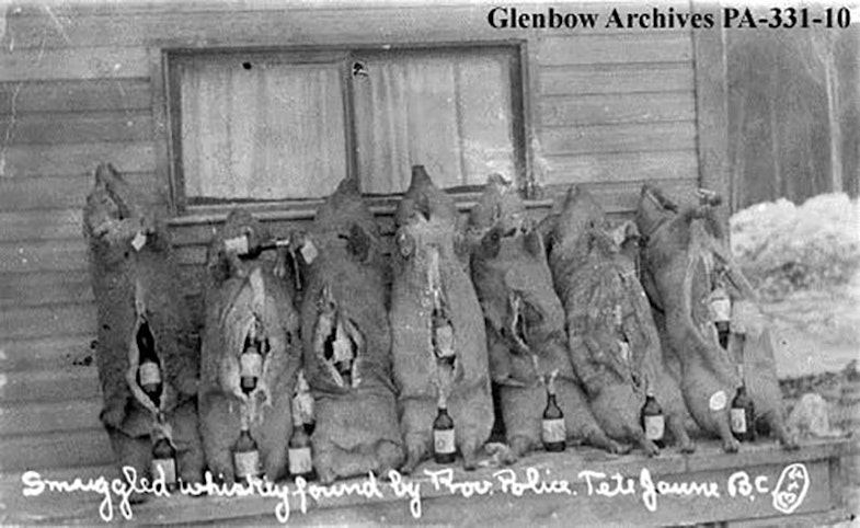 Smugglers were always inventive in circumventing the law, these hog carcasses, confiscated by police in British Columbia in 1912, were stuffed with smuggled whiskey bottles